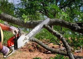 Best Storm Damage Tree Cleanup  in Flanders, NY